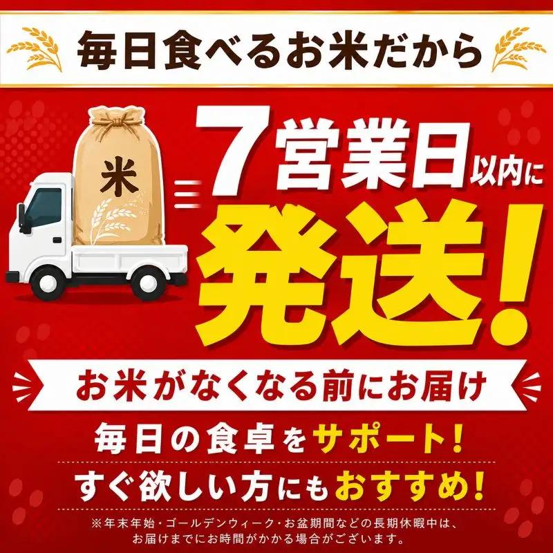 お米 訳あり にじのきらめき 玄米 5kg×2P |栃木県 矢板市