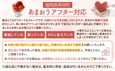 【予約受付】選べる大容量あまおう 1,680g 大粒 不揃い 選べる大容量あまおう （2L,グランデ,DX デラックス）減農薬 あまおう いちご 高級 いちごあまおう イチゴ 苺 フルーツ 果物 ふる