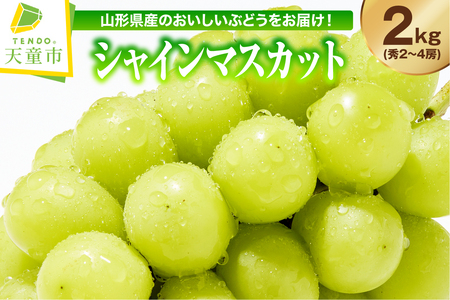 ぶどう シャインマスカット 2kg 秀 フルーツ 果物 山形 ブドウ