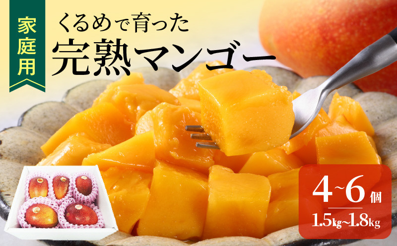
            【2026年6月以降お届け】【家庭用】くるめで育った完熟マンゴー（4～6個：約1.5～1.8kg）_家庭用 トロ～ッと口のなかでとろける くるめで育った 完熟マンゴー 4個 〜 6個 甘い 子供も安心 フルーツ 果物 果実 マンゴー 完熟 国産 家庭用 訳あり 冷蔵 クール便 倉重農園 お取り寄せ 福岡県 久留米市 送料無料_Fm008
          