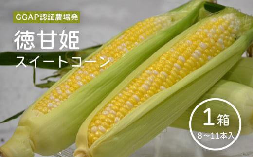 
                  期間限定 先行予約 スイートコーン 朝採れ  (8～11本）【徳甘姫】 とうもろこし
                