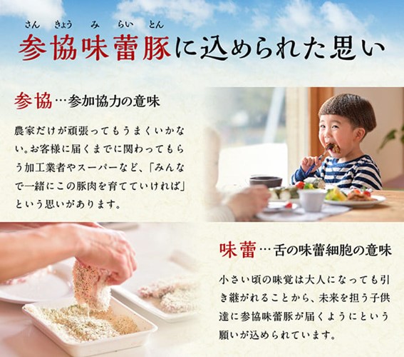 ※令和8年10月発送分※ 合計104個！さんきょうみらい豚ぎょうざ(焼餃子＋水餃子)セット 【 宮崎県産 肉 豚肉 ギョウザ ぎょうざ 肉加工品 惣菜 鍋 】