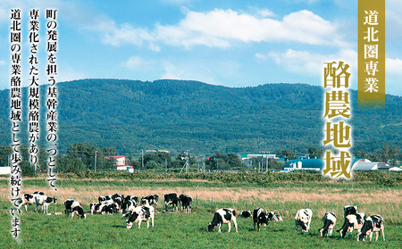 北海道天塩町 ☆応援寄附金☆【返礼品なし】100,000円分