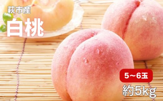 
                  小川桃（萩産）大玉5～6玉【配達不可：北海道・沖縄・離島】
                