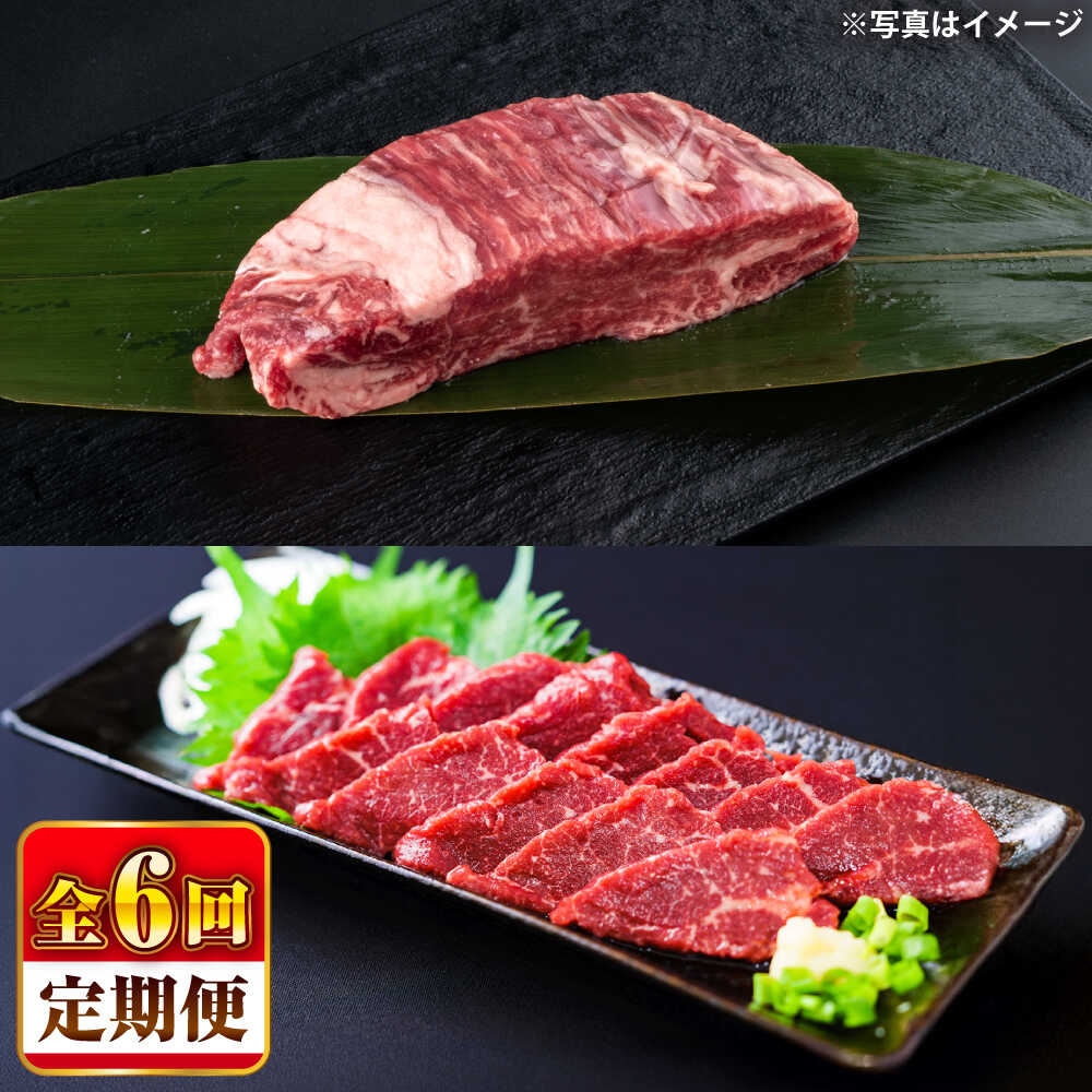 【ふるさと納税】【全6回定期便】 あか牛 ステーキ用ヒレ肉(約800g)、馬刺し(約200g)セット 計約1kg / 牛肉 セット 国産 熊本県産 食べ比べ ヒレ ステーキ バサシ 馬刺し 赤牛 冷凍 お土産 豪華 贅沢 niku 熊本県 菊陽町 200g 800g　【合同会社 たべたせいか】[BHBY018]