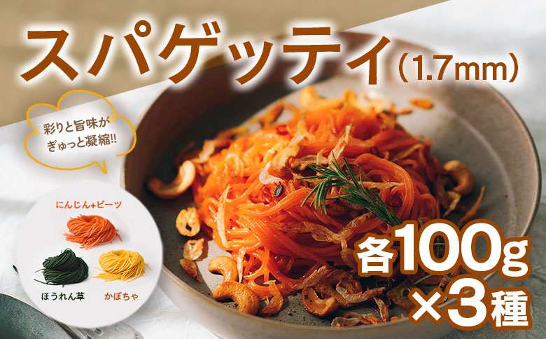 パスタ ベジタブル 野菜パスタ スパゲッティ フェットチーネ マカロニ VEGE.PA ベジパ 9食