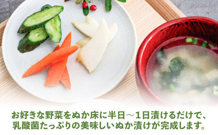 SUGIDOCO スターター＆ぬか漬け トレイ セット 漬物 糠漬け ぬか箱 米ぬか スギドコ 漬物容器 広川町 / 合同会社いなかず商店[AFAL006]