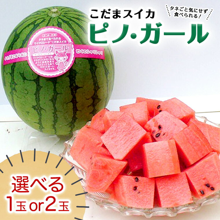 【ふるさと納税】 感動必至！タネが気にならない こだまスイカ ピノ・ガール 【2025年5月中旬より発送開始】 スイカ 西瓜 小玉スイカ 小玉 果物 くだもの フルーツ 美味しい 茨城