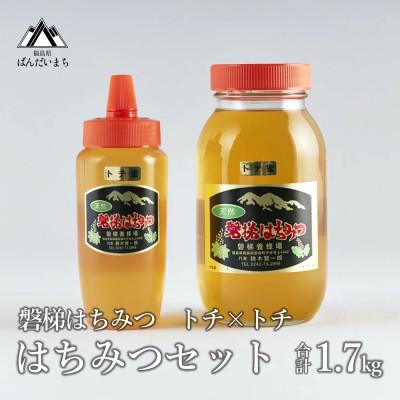 ふるさと納税 磐梯町 磐梯はちみつ　はちみつセット　トチ×トチ
