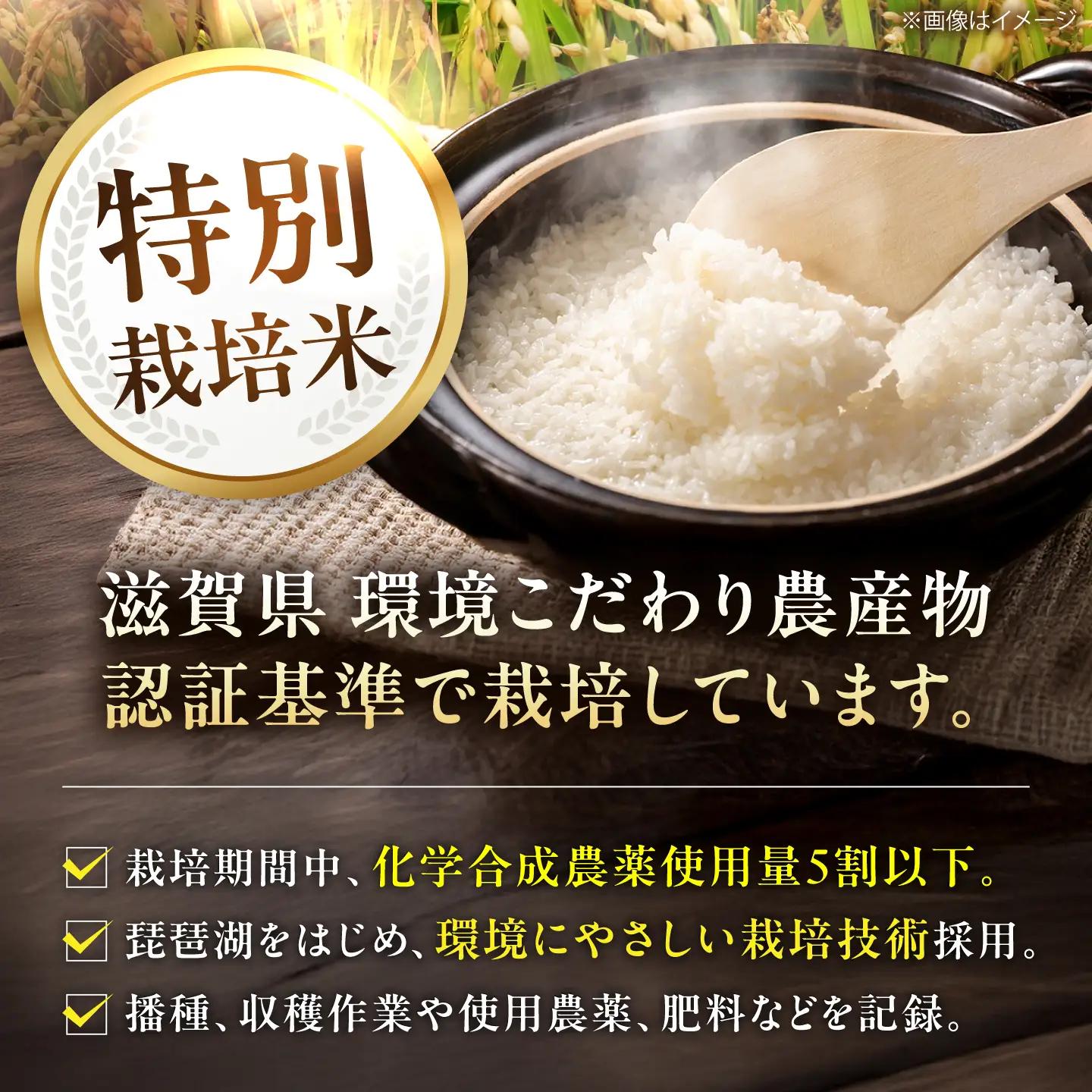 コシヒカリ5kg BIBV008 コシヒカリ