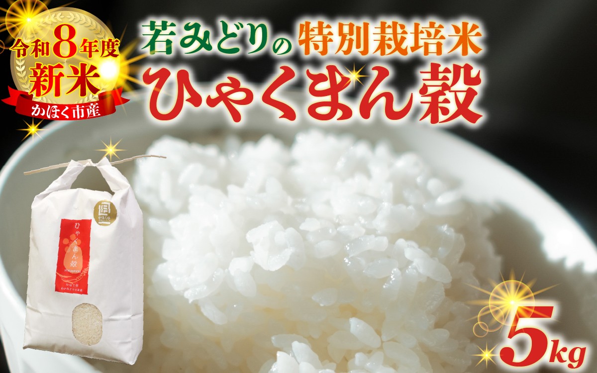 
                  【選べる発送月】【11月～3月発送】若緑産 「ひゃくまん穀」 5kg  特別栽培米 / 令和8年産 新米 白米 精米 こめ コメ ご飯 ごはん おすすめ 食感 国産 5キロ 送料無料 笑ってコラえて M!LK
                