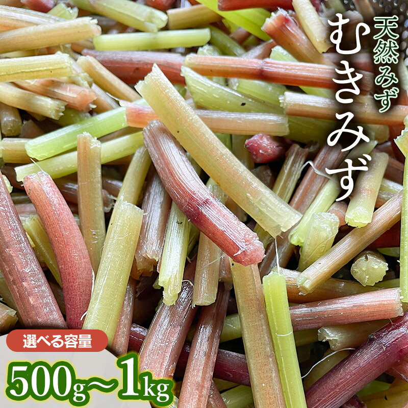 【ふるさと納税】 【令和7年産先行予約】むきみず 【500g〜1kg】　天然みず 　わかば屋