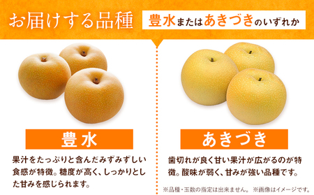 梨 旬の梨 約 2.8kg ～ 3kg 豊水 あきづき のいずれか 旬 中村果樹園 《8月下旬-9月中旬頃出荷》熊本県 荒尾市 なし フルーツ 果物 新鮮  美味しい梨 旬の梨 ジューシー梨 フルーツ
