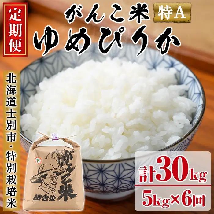＜令和8年産 先行予約！＞《定期便・全6回》田舎塾特別栽培米「がんこ米ゆめぴりか」(5kg×6回・計30kg) 【2026年10月中旬以降順次発送】 米 お米 白米 北海道産 北海道米 ゆめぴりか 特A 一等級 ごはん おこめ コメ 単一原料米 定期便 【田舎塾】【E7037】