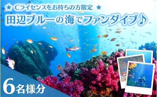 【和歌山 田辺・ファンダイブ／2ボート】大阪から2時間で叶う！田辺ブルーの海♪　6名様 ★Cライセンスお持ちの方限定★ / ダイビング スキューバダイビング ファンダイビング マリンスポーツ 体験 旅行 観光 レジャー アウトドア サンゴ 熱帯魚 水中 癒し 【tds001-6-1】