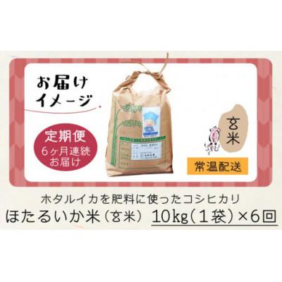 ふるさと納税 滑川市 【毎月定期便】ほたるいか米　玄米　10kg全6回 |  | 03