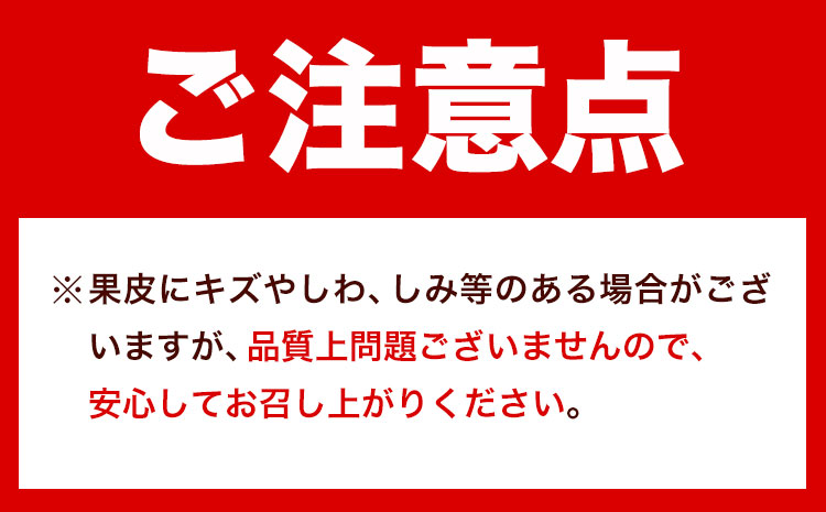 紀州和歌山有田産 ゆら早生みかん 約5kg 株式会社魚鶴商店《2025年10月上旬-11月上旬頃出荷》 和歌山県 日高町 みかん 早生 柑橘(F)