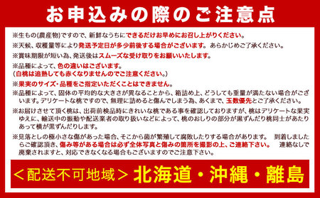 和歌山の 桃 秀選品 約 2kg 1箱 厳選館【配送不可地域あり】《2024年6月末-8月下旬より順次出荷》和歌山県 日高川町 果物 フルーツ 桃 もも