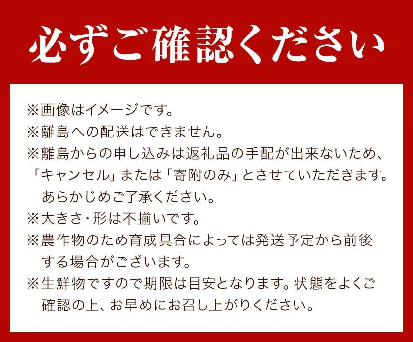 【先行予約】栗原果樹園梨5kg幸水《8月上旬-8月下旬頃出荷予定》茨城県結城市梨【配送不可地域あり】(離島)