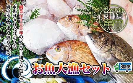 【定期便8回】創業100年の魚屋さんが選び抜いた旨い鮮魚直送便～