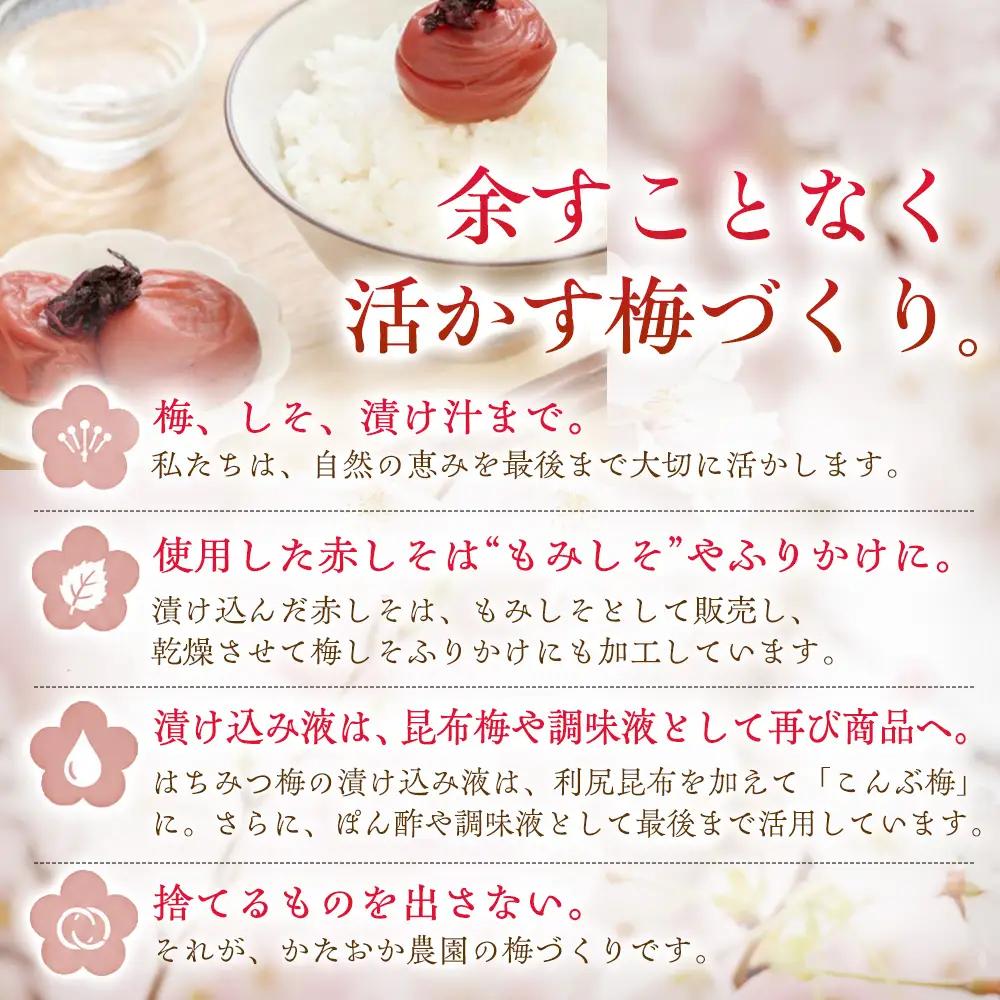 梅干し  塩分約18％ 1kg 本場紀州南高梅 完熟しそ梅干し【ktok002A】