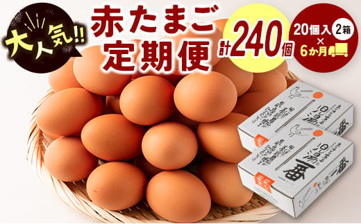 
＜児湯養鶏自慢の卵＞ネッカリッチ赤たまご「児湯一番」 計240個 （20個入×2箱）×6か月定期便【D15】
