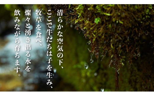 飛騨の牧場で育った熟成飛騨牛『山勇牛』特製 タレ漬け スライス 700g 専門店の逸品 A4・A5ランク飛騨牛