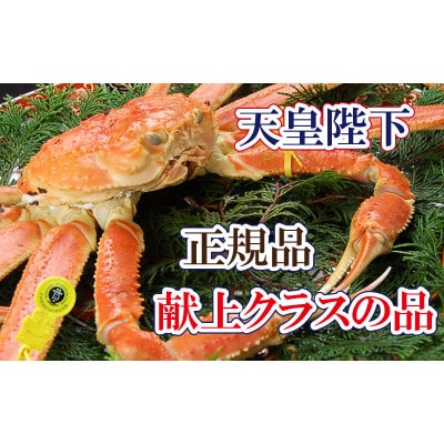 桐箱入り!皇室献上級　誉れ高き越前がに × 1杯 ≪浜茹で≫【11月発送分】【配送不可地域：離島】【1264320】