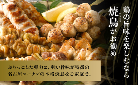 【定期便】ブランド豚・地鶏 定期便 全3回 田原ポーク 名古屋コーチン