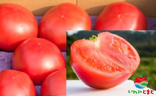 【ふるさと納税】いわみとまと｜鳥取県 岩美町 トマト とまと 野菜【32002】