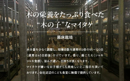 長五郎 まいたけ ほぐし 300g×2 | きのこ きのこ きのこ きのこ きのこ きのこ