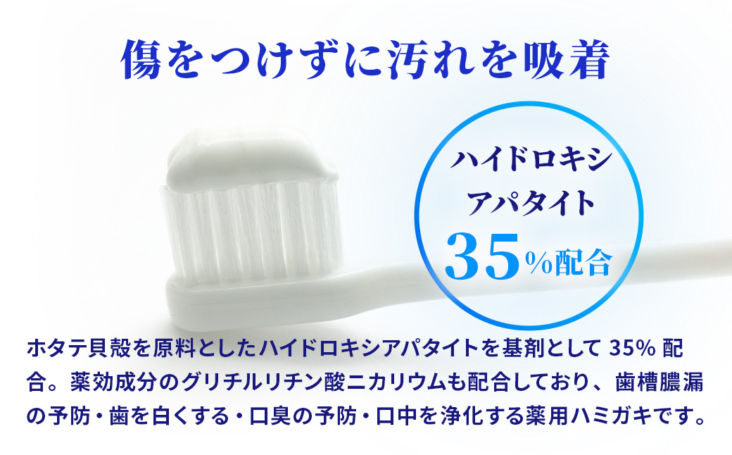 天然予防ハミガキ粉　シェルピカ80g×3本セット 【 歯磨き粉 ハミガキ粉 歯磨き 薬用ハミガキ オーラルケア 口臭予防 日用品 八雲町 北海道 年内発送 年内配送 】
