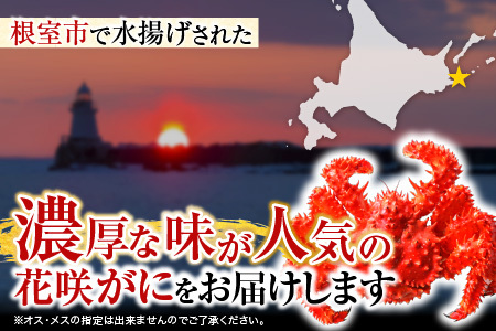 【北海道根室産】花咲かに350～400g×3尾 G-19001