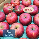 【ふるさと納税】りんご ( サンふじ ) 5kg 12〜20個 特秀品 果物 フルーツ 産地直送 送料無料 山形県 上山市 0065-2411