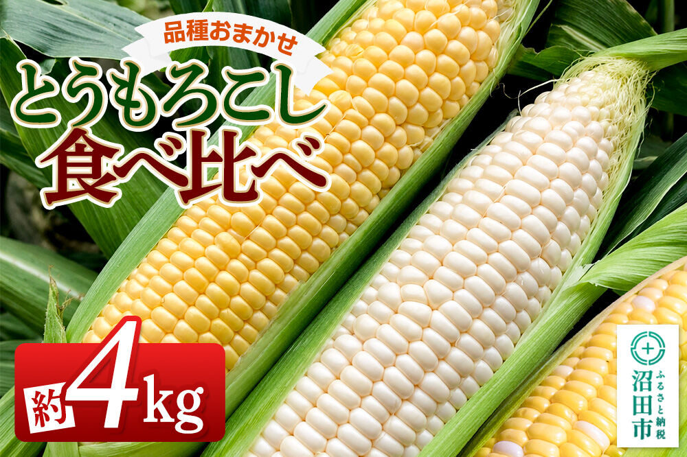 《7月下旬〜9月上旬発送》とうもろこし食べ比べ 約4kg（8〜12本）詰め合わせセット 山口いちご園