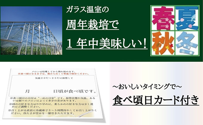 【6ヶ月定期便】クラウンメロン（山等級）1玉入 