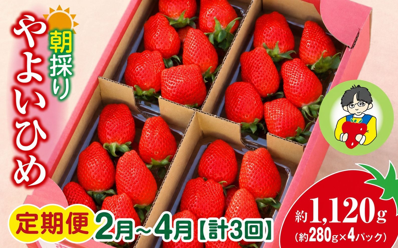
                  いちご やよいひめ 280g × 4パック 1120g 計3回 定期便2月～4月 2027年 先行予約 | コク 甘み 朝採れ イチゴ 苺 高品質 たっぷり 新鮮 完熟 旬 ストロベリー 高級 産地直送 果汁 甘い あまい 人気 高評価 高糖度 ごほうび プレゼント 朝採れ 贈答用 あすかファーム 群馬県 前橋市
                