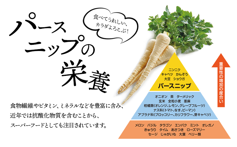 A1-5712／パースニップ　1kg