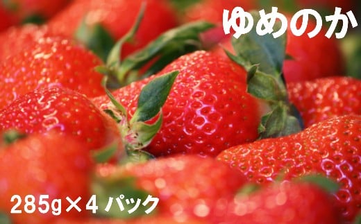 ＜佐川のフルーツ・野菜 定期便（全５回）＞　いちご 苺 冷凍ブルーベリー フルーツトマト 梨