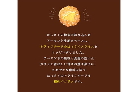 ほろにがスイーツ・はっさく焼き菓子 はっさくプーロ 1箱　【アミティ有限会社 観光特産センターこかわ】《90日以内に順次出荷(土日祝除く)》 和歌山県 紀の川市