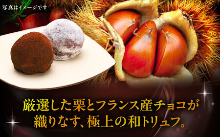 【先行予約】栗チョコ 6個入り /　栗 チョコ トリュフ / 恵那市 / 株式会社 恵那寿や[AUAS017]