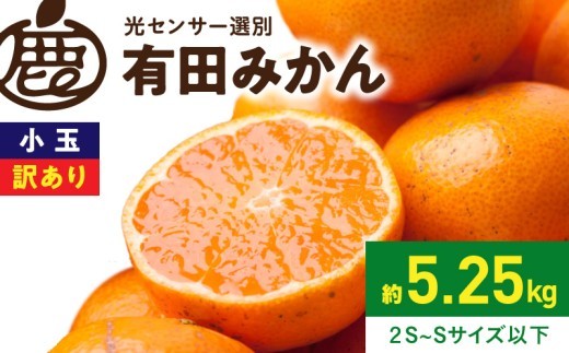 
                  【2026年先行予約】 訳あり 小玉 有田みかん 約 5kg 2S～Sサイズ以下 サイズ混合 和歌山県産 みかん フルーツ 果物 小玉みかん 温州みかん 産地直送 光センサー選果 濃厚 家庭用 果汁 和歌山県 湯浅町 送料無料 _ZH7109
                