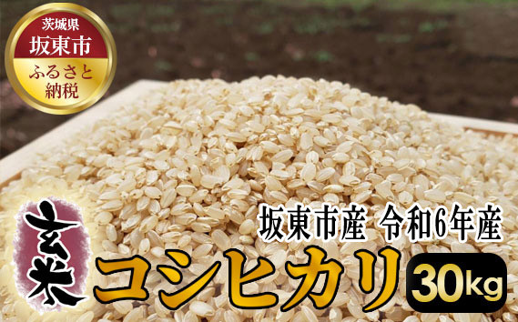 
No.414 玄米　コシヒカリ30kg【令和6年産】 ／ おこめ こしひかり げんまい 茨城県
