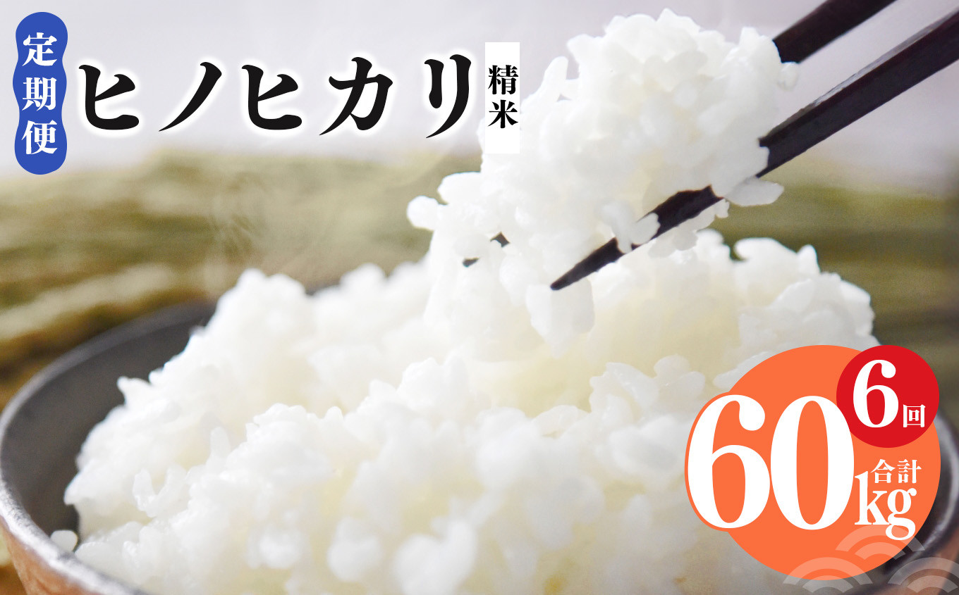 
            N09 【定期便】奈良県産 ヒノヒカリ 精米 10kg × 6回 合計 60kg (6回お届け) | 米 こめ コメ お米 オコメ おこめ 奈良県 御杖村  米 白米
          