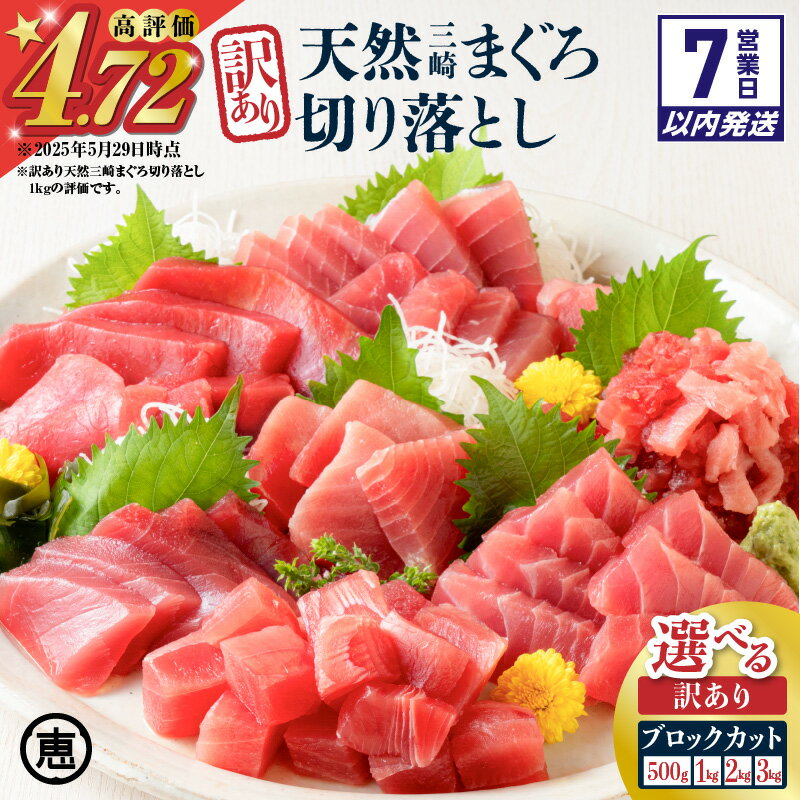 【ふるさと納税】【期間限定】【7営業日以内に発送】＜選べる＞ 天然 三崎まぐろ 赤身 切落し 500g ～ 1kg ブロック カット 不揃い バラエティ 訳あり まぐろ マグロ 鮪 メバチマグロ 切り落とし 刺身 魚 魚介 母の日 父の日 三崎恵水産 神奈川県 三浦市 おすすめ ランキング