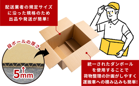 引越しダンボールセット 計15枚 (120サイズ：5枚 100サイズ：10枚) - 国産 段ボール ダンボール 荷物 発送 引っ越し 便利 収納 整理 配送 梱包 規定サイズ 防災 タケナカダンボール
