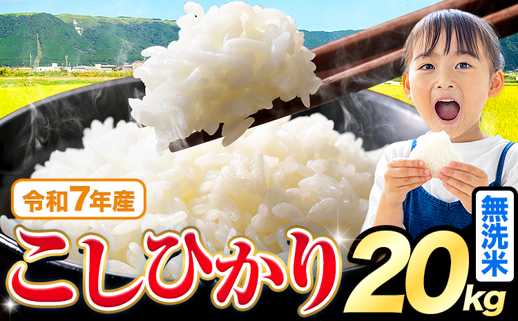 令和7年産 米 無洗米 こしひかり 20kg《7-14日以内に出荷予定(土日祝除く)》熊本県産 ふるさと納税 無洗米 ひの 米 こめ ふるさとのうぜい コシヒカリ コメ お米 おこめ---reihoku_loc_442_20kg---