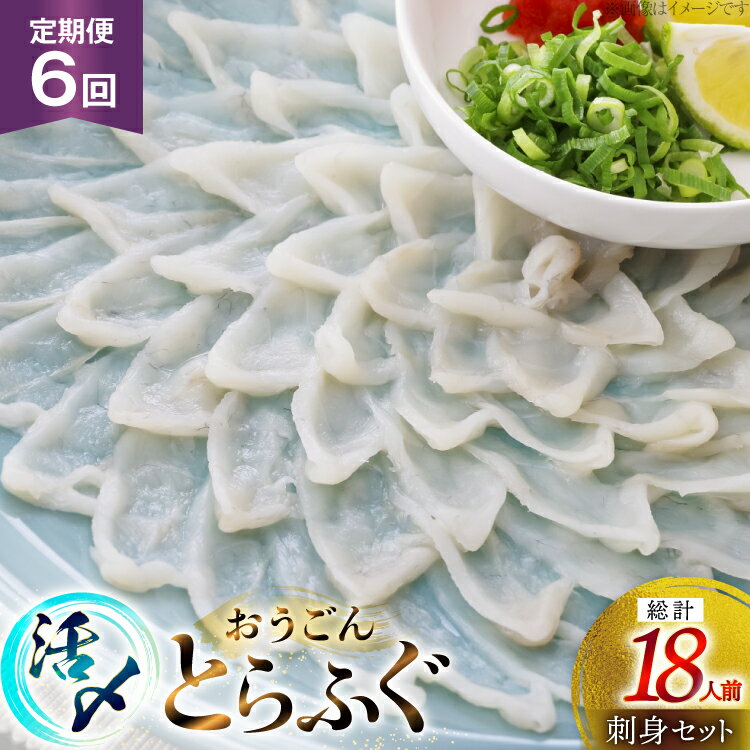 【ふるさと納税】ふぐ 刺身 セット 活〆 おうごんとらふぐ 刺身セット 3人前 6回 定期便 [松永水産 長崎県 平戸市 hr42bgy400162] ふぐ刺し とらふぐ フグ 河豚 てっさ 魚介 さかな お刺身 刺身用 さしみ 冷凍 湯引き 海鮮 切り身