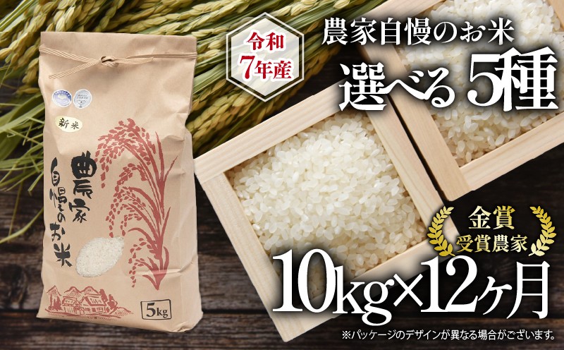 
            【 先行予約 】 令和7年産 新米 10kg 定期便 12回 選べる 品種 日本晴 ミルキークイーン こしひかり みずかがみ 夢ごこち 2025年産 12ヶ月 連続 お届け 農家自慢のお米 近江米 ( 白米 精米 お米 おこめ みるきーくいーん コシヒカリ ブランド米 産地直送 農家直送 送料無料 滋賀県 竜王 ふるさと納税 ) 
          