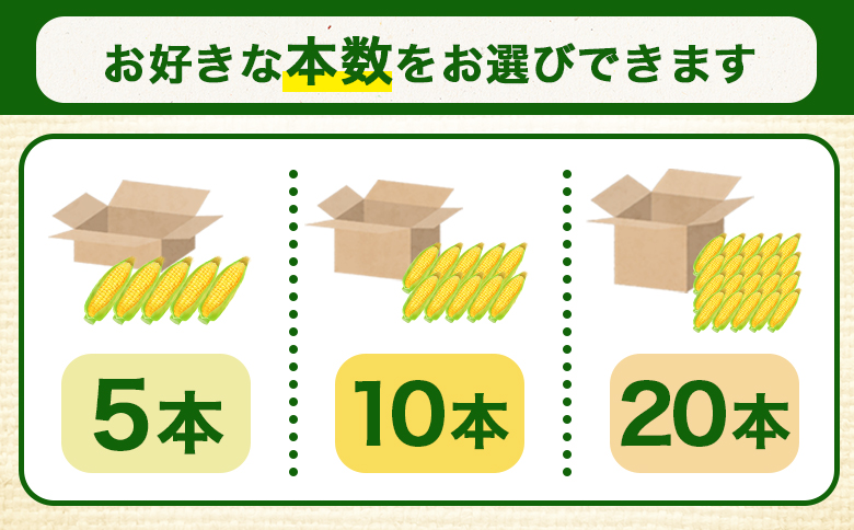 【北海道恵庭市産】朝どりスイートコーン×20本 北海道産 とうもろこし ふるさと納税 北海道 恵庭市【31000103】 ２０本